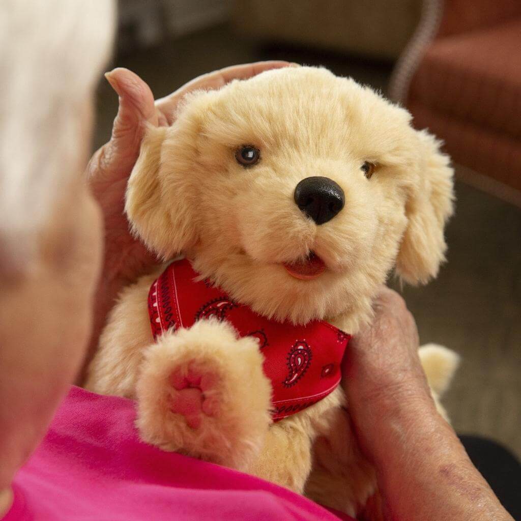 Golden Companion Puppy for People Living with Dementia