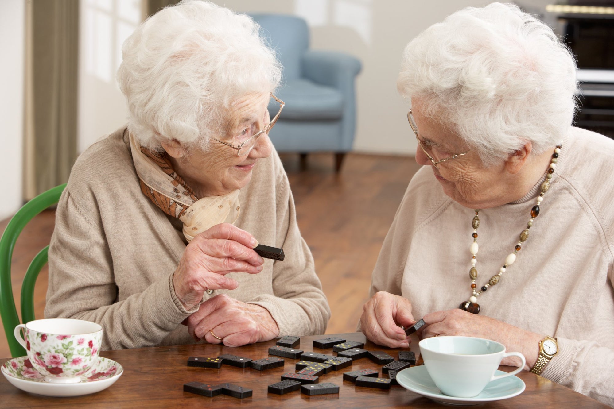 Games & Puzzles - Senior Style