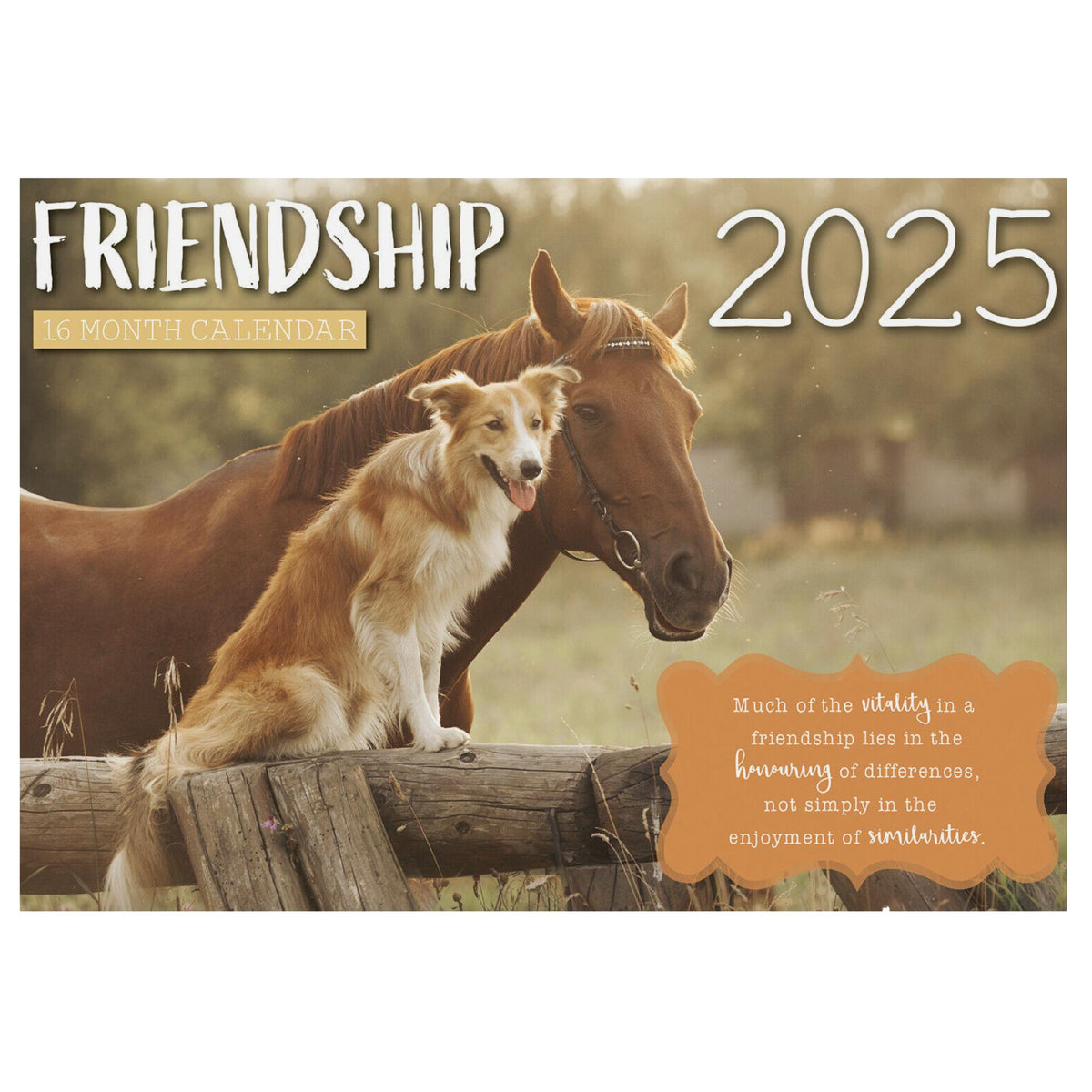 2025 Wall Calendar - Senior Style