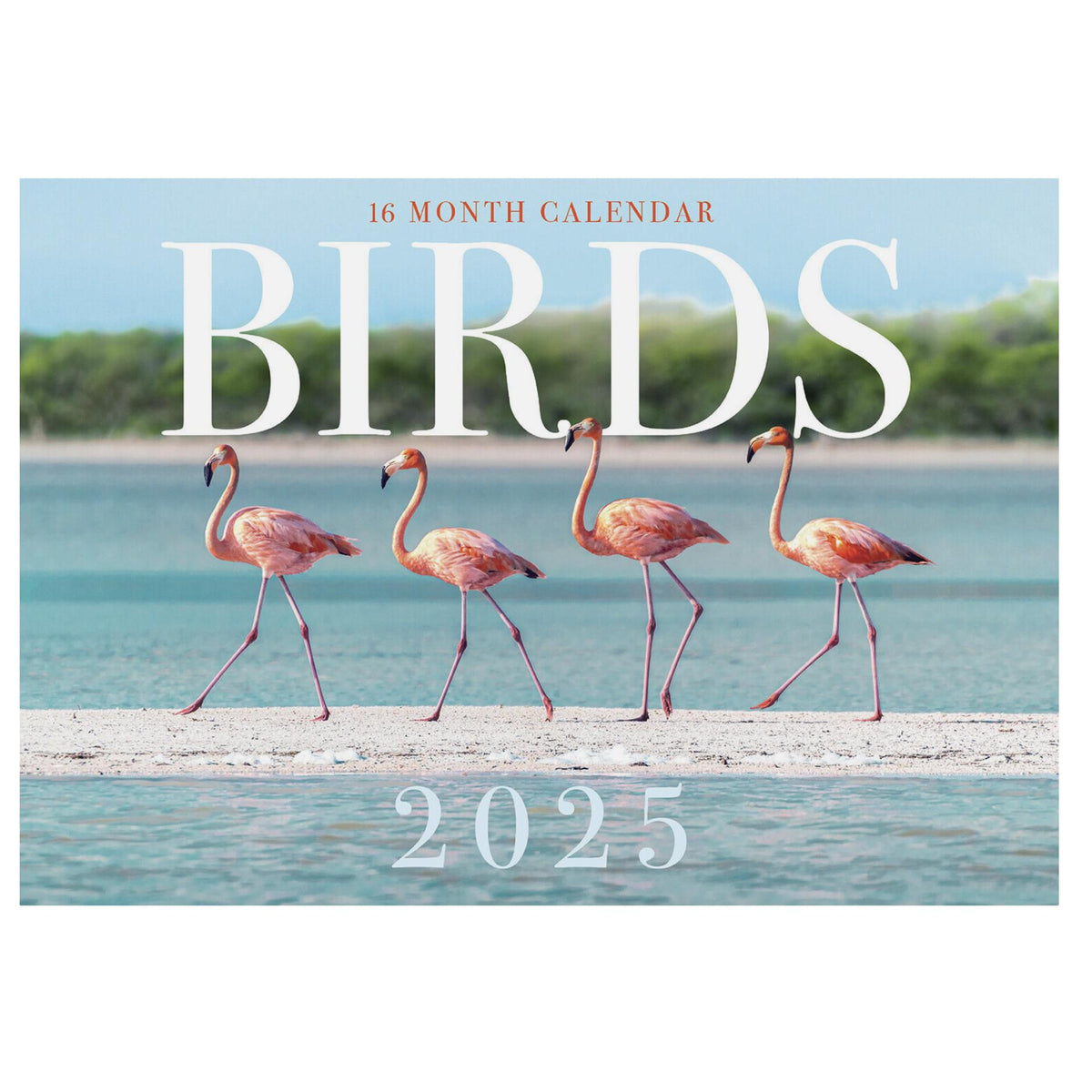 2025 Wall Calendar - Senior Style