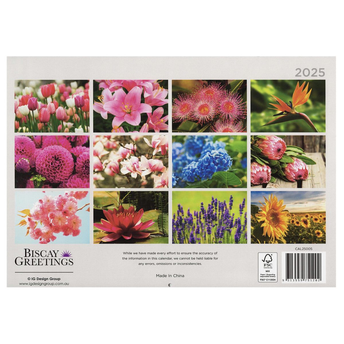 2025 Wall Calendar - Senior Style