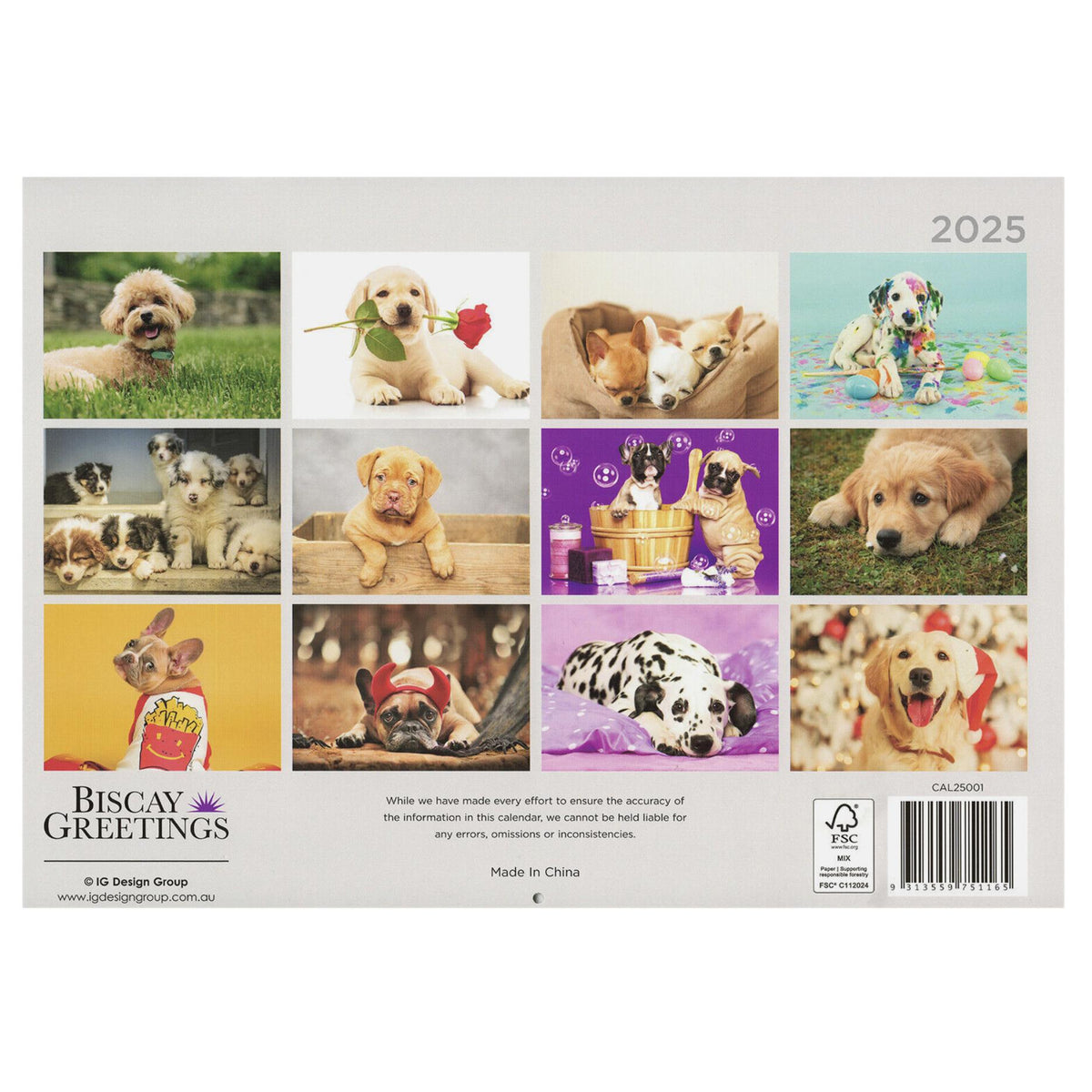 2025 Wall Calendar - Senior Style