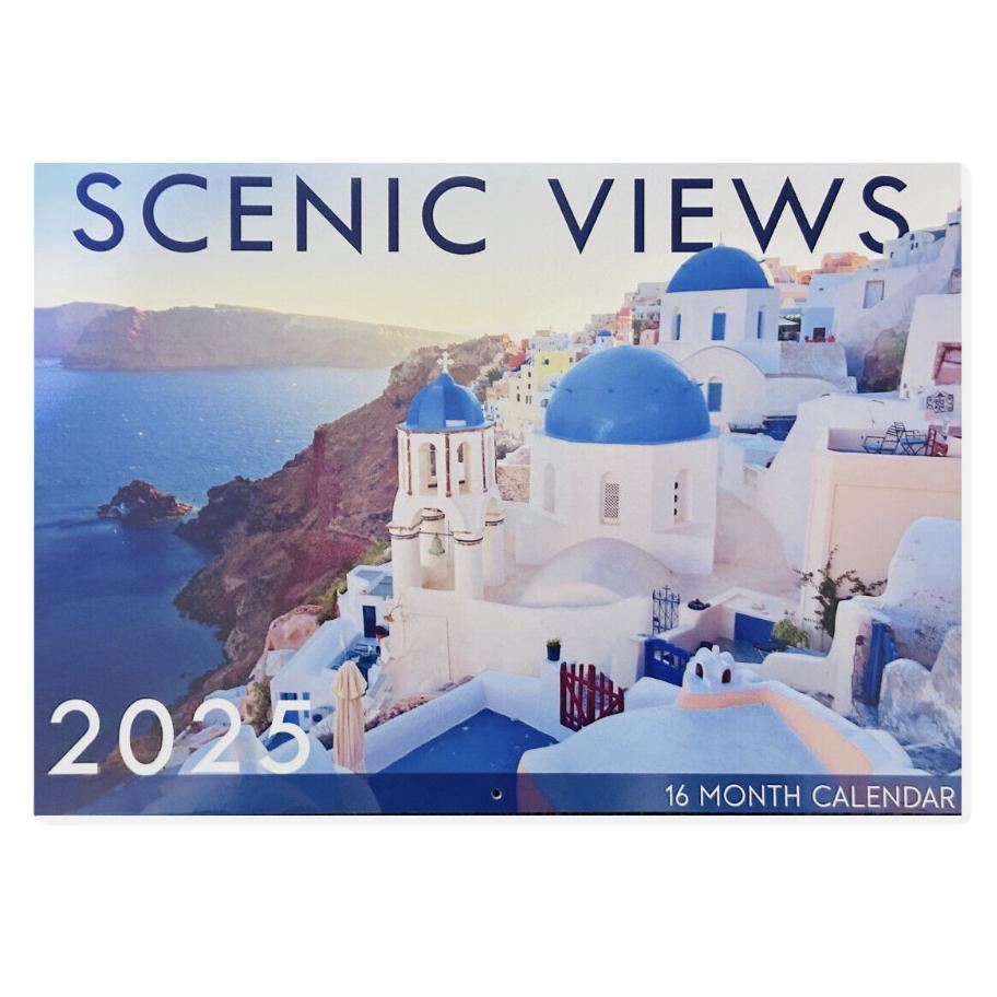 2025 Wall Calendar - Senior Style