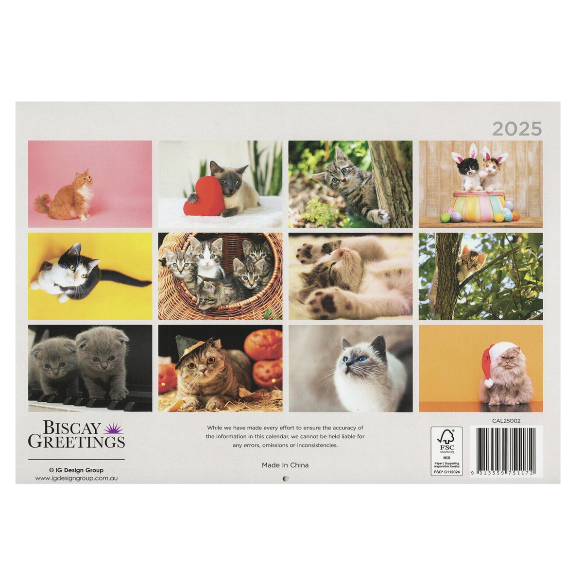 2025 Wall Calendar - Senior Style