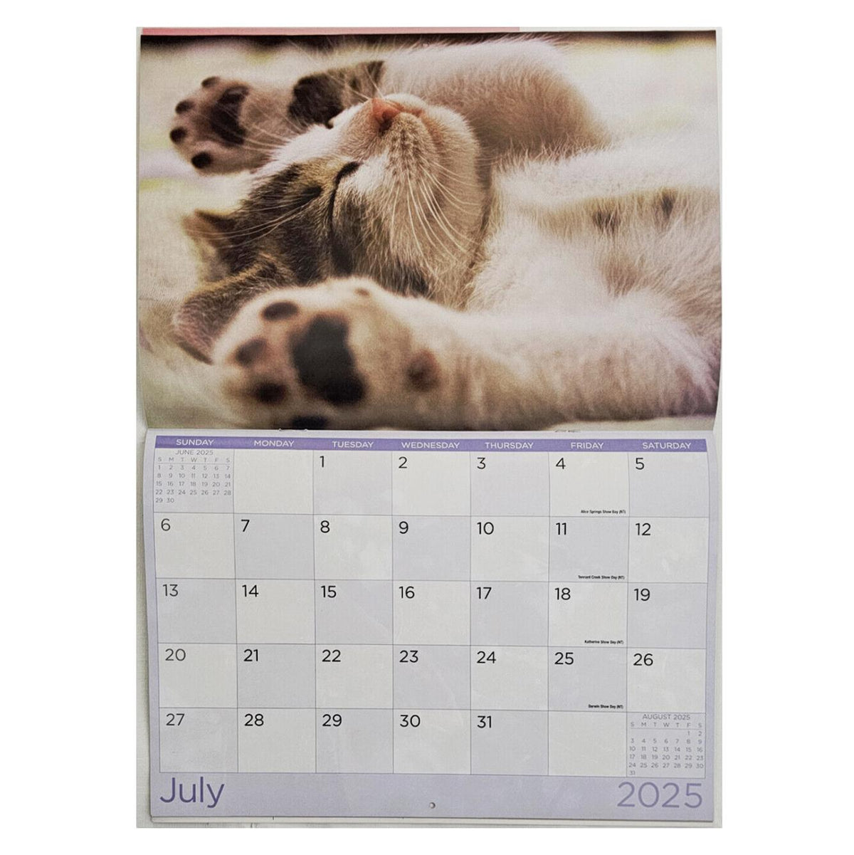 2025 Wall Calendar - Senior Style