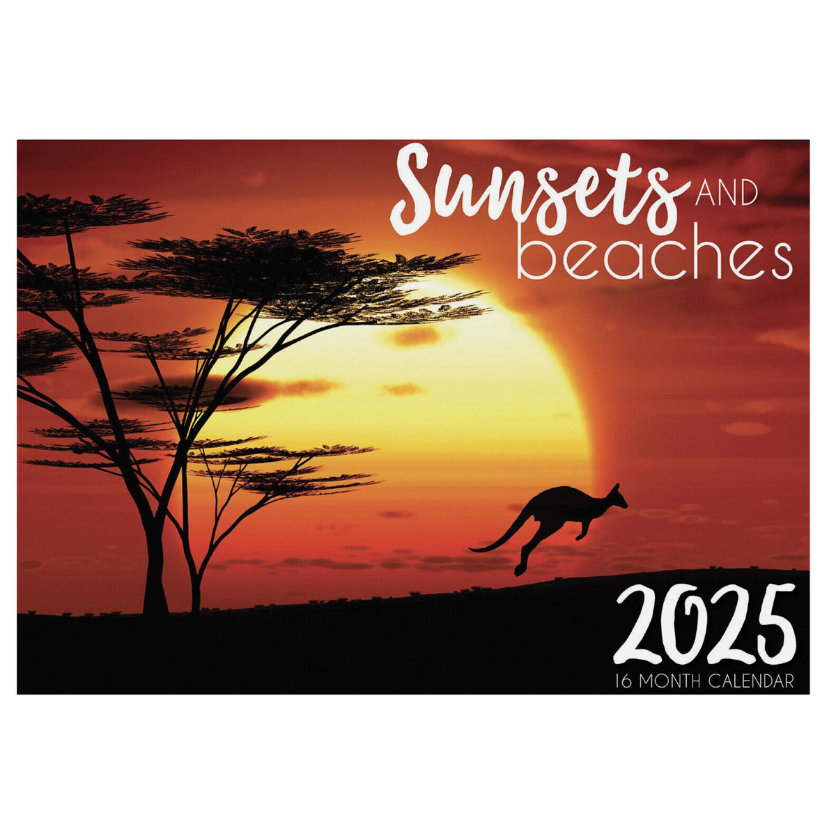 2025 Wall Calendar - Senior Style