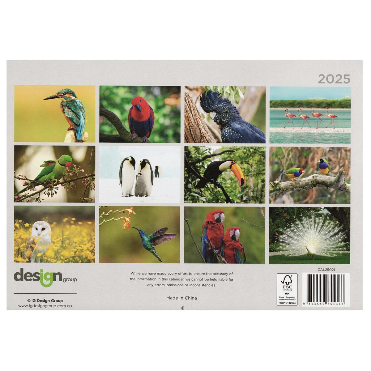 2025 Wall Calendar - Senior Style