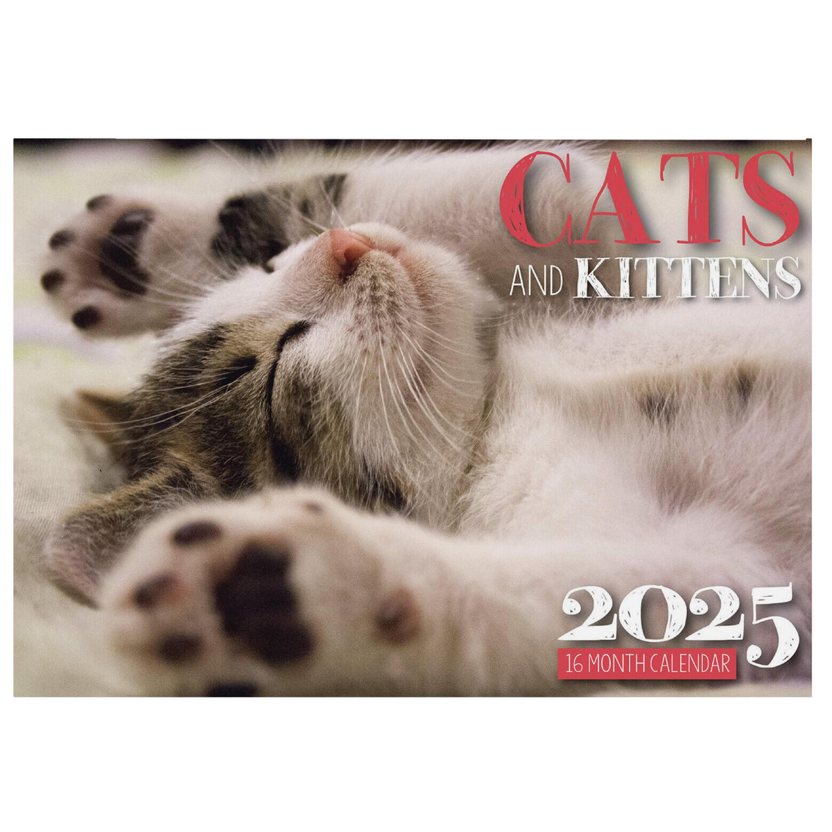 2025 Wall Calendar - Senior Style
