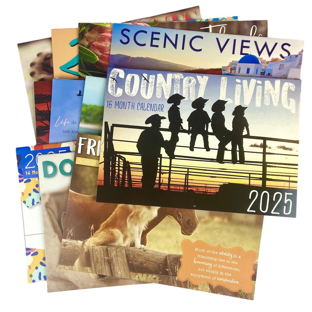 2025 Wall Calendar - Senior Style