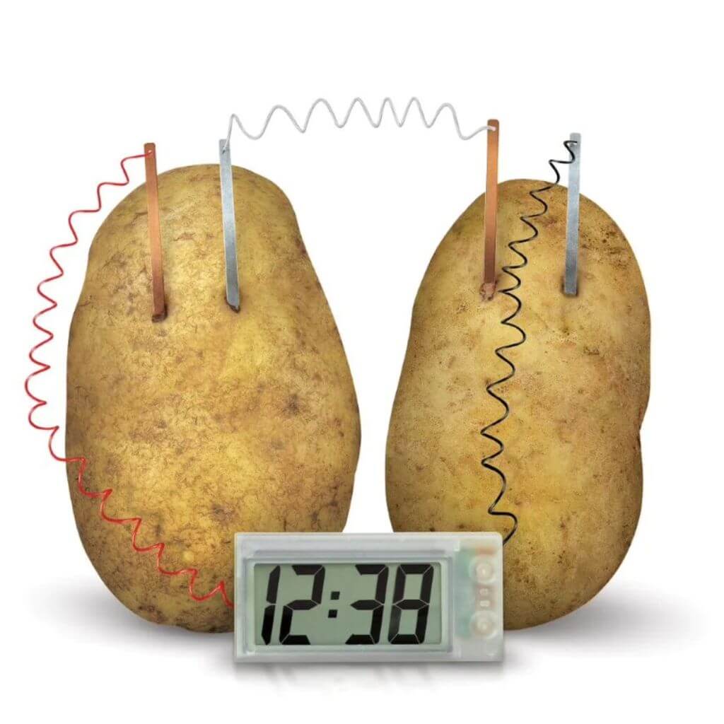 4M - Green Science - Potato Clock - Senior Style