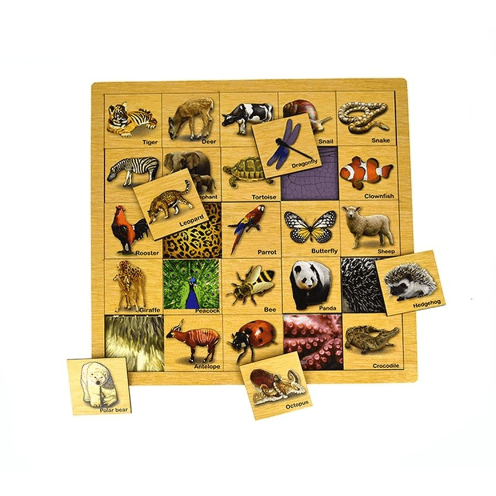 Animal Skin Matching Puzzle