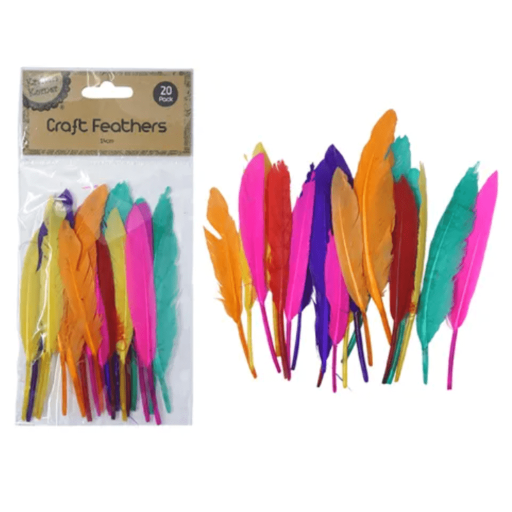 Assorted Coloured Feathers
