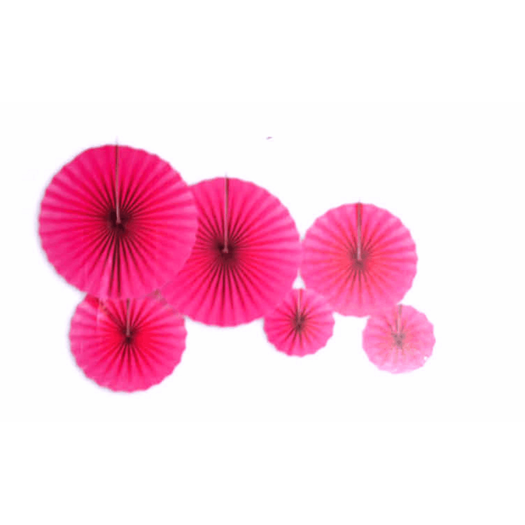 Bright Pink Decoration Fans