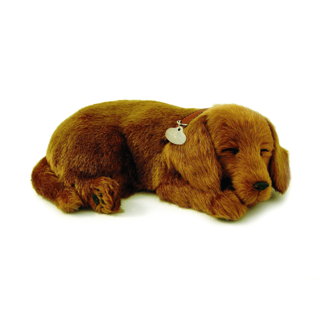 Dachshund Soft Bundle