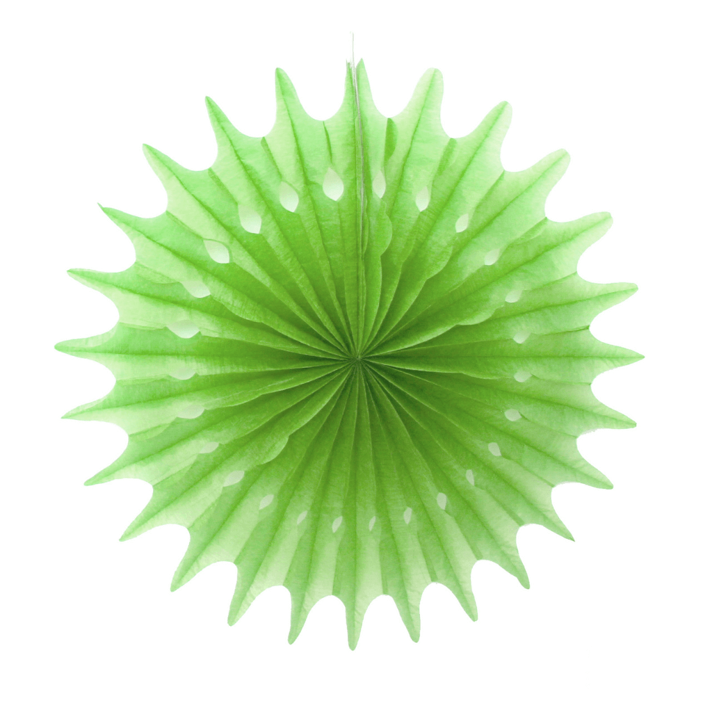 Light Green Decorative Fan 30cm