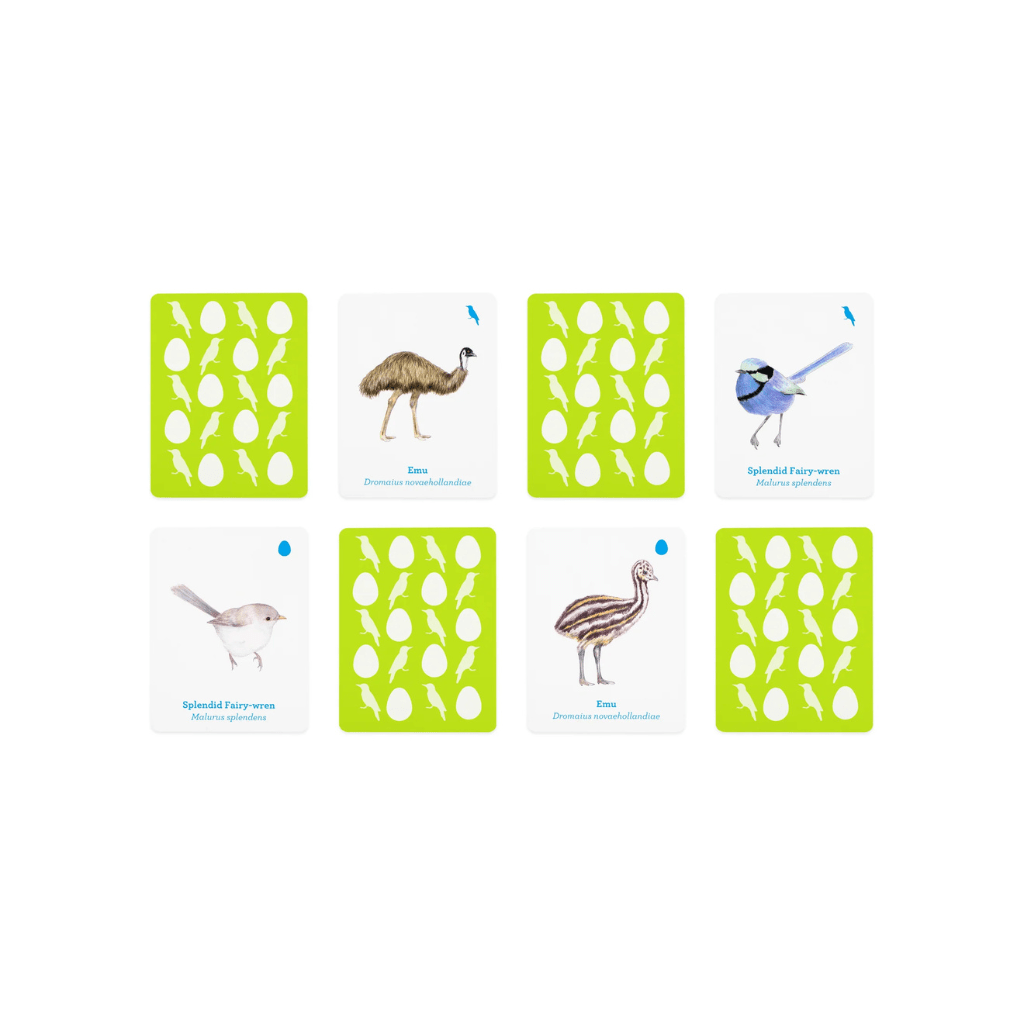Match a Baby Bird