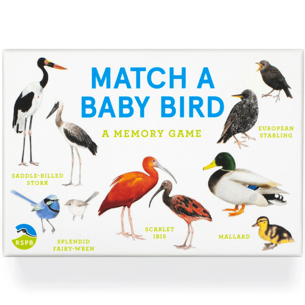 Match a Baby Bird