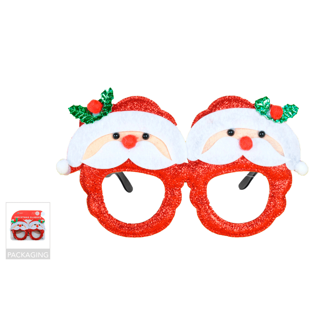 Party Glasses - Twin Santa