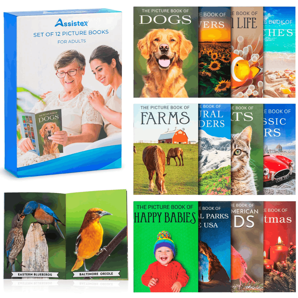 Picture Books Set of 12