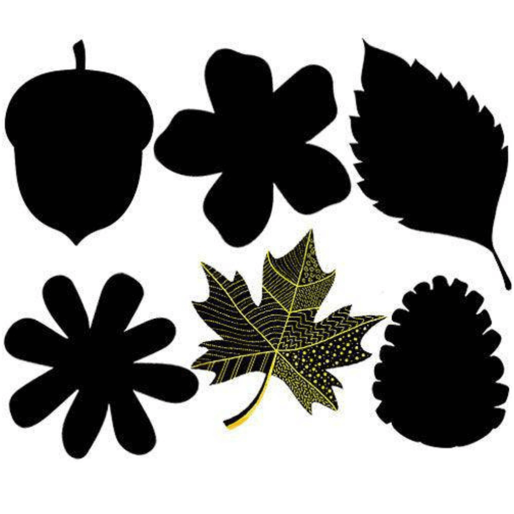 Scratch Leaves Pack of 24