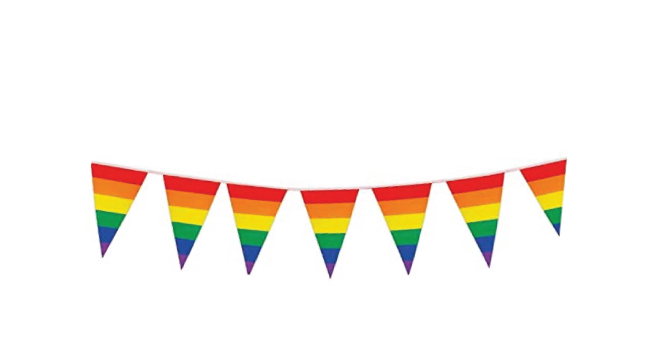 Rainbow Stripe Bunting Flags