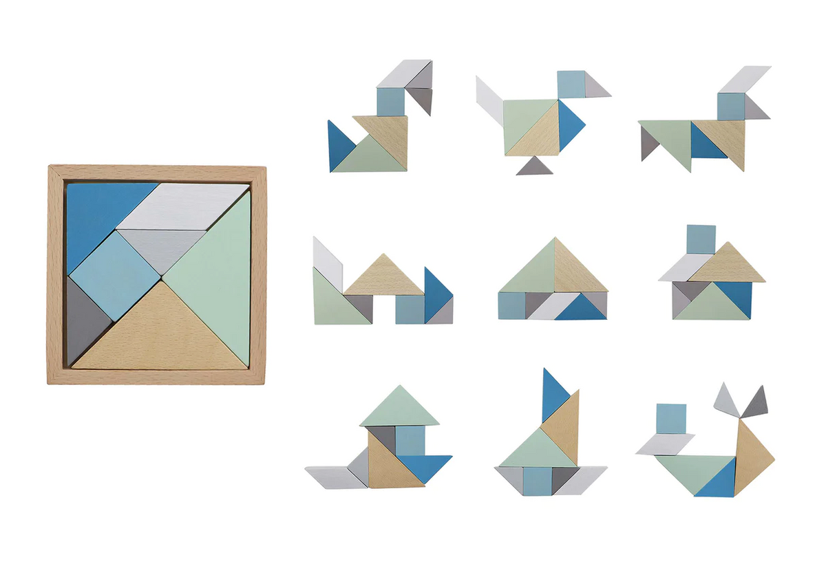 Tangram and Tetris Brain Teaser Puzzle