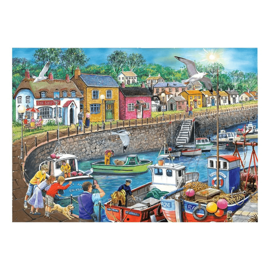 Seagull View - 250 Large Piece Jigsaw Puzzle