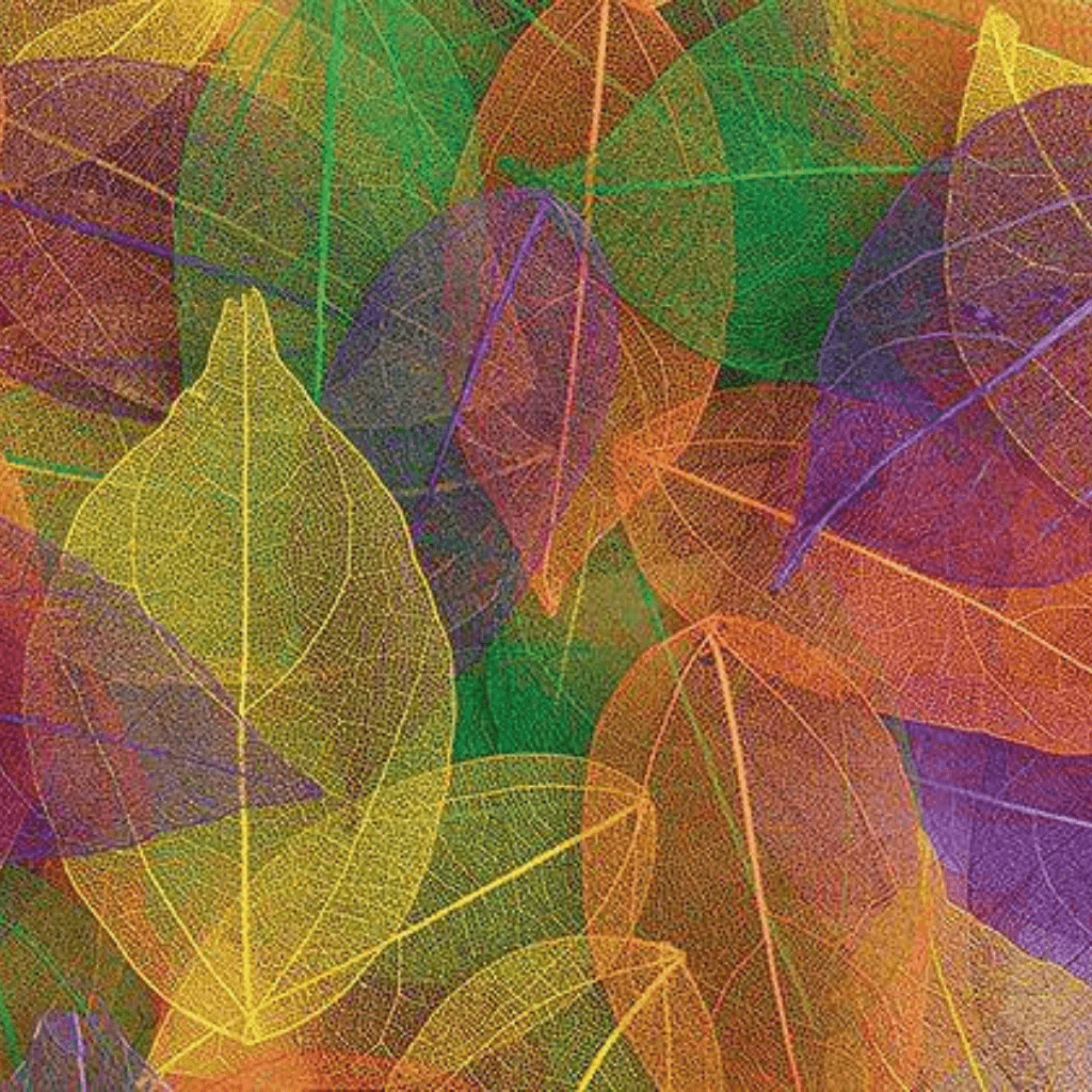 Skeleton Leaves - Coloured