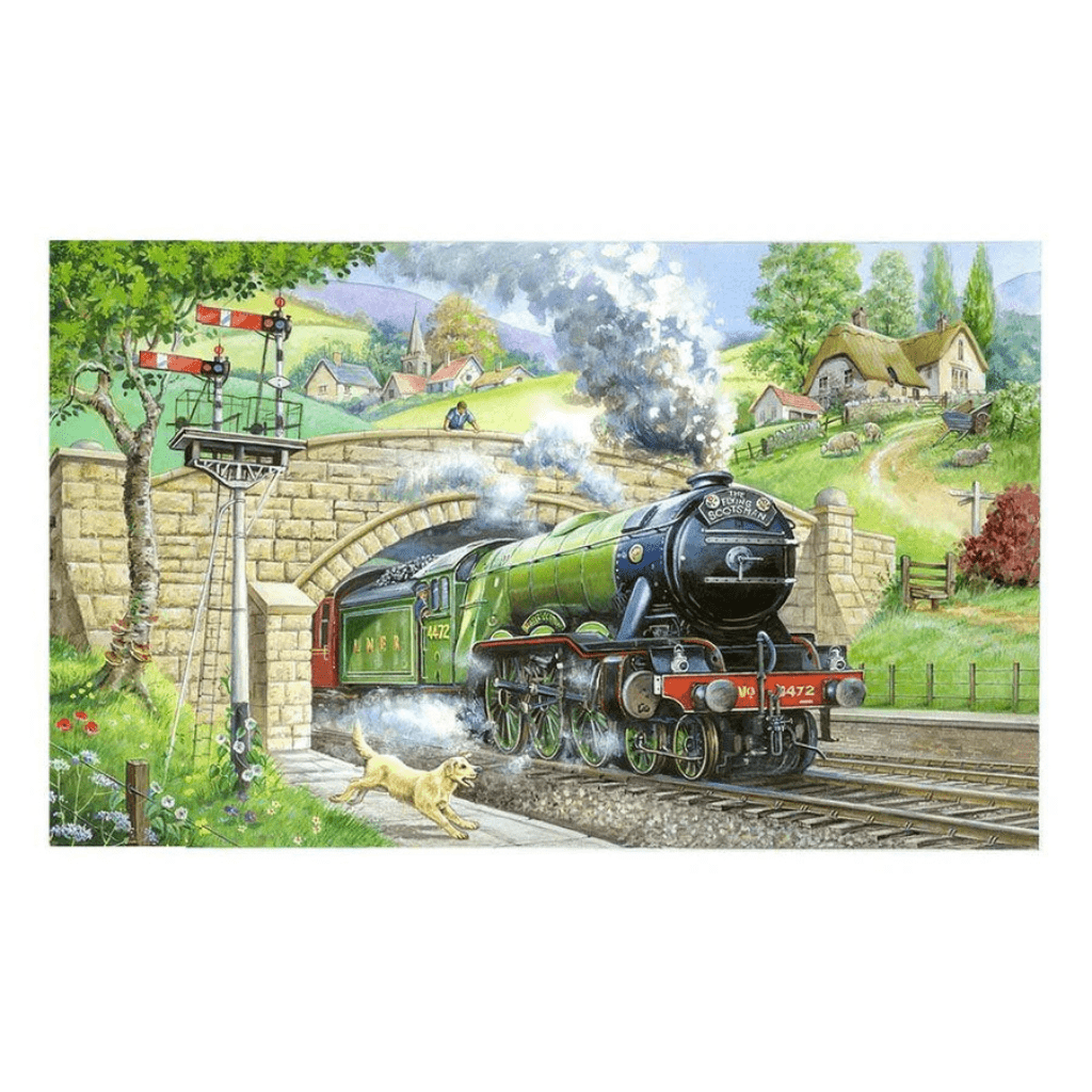 Train Spotting - 250 Large Piece Jigsaw Puzzle