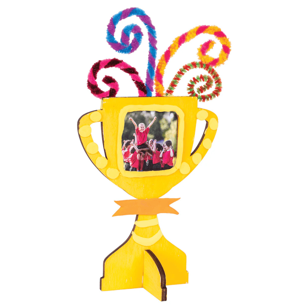Wooden Trophy Frames Pack of 10