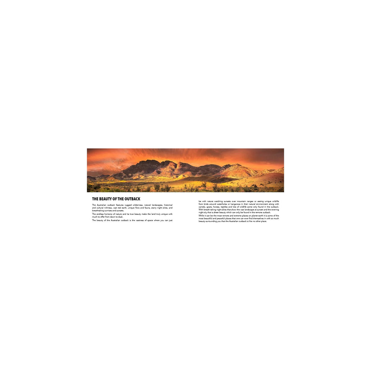 The Australian Outback
