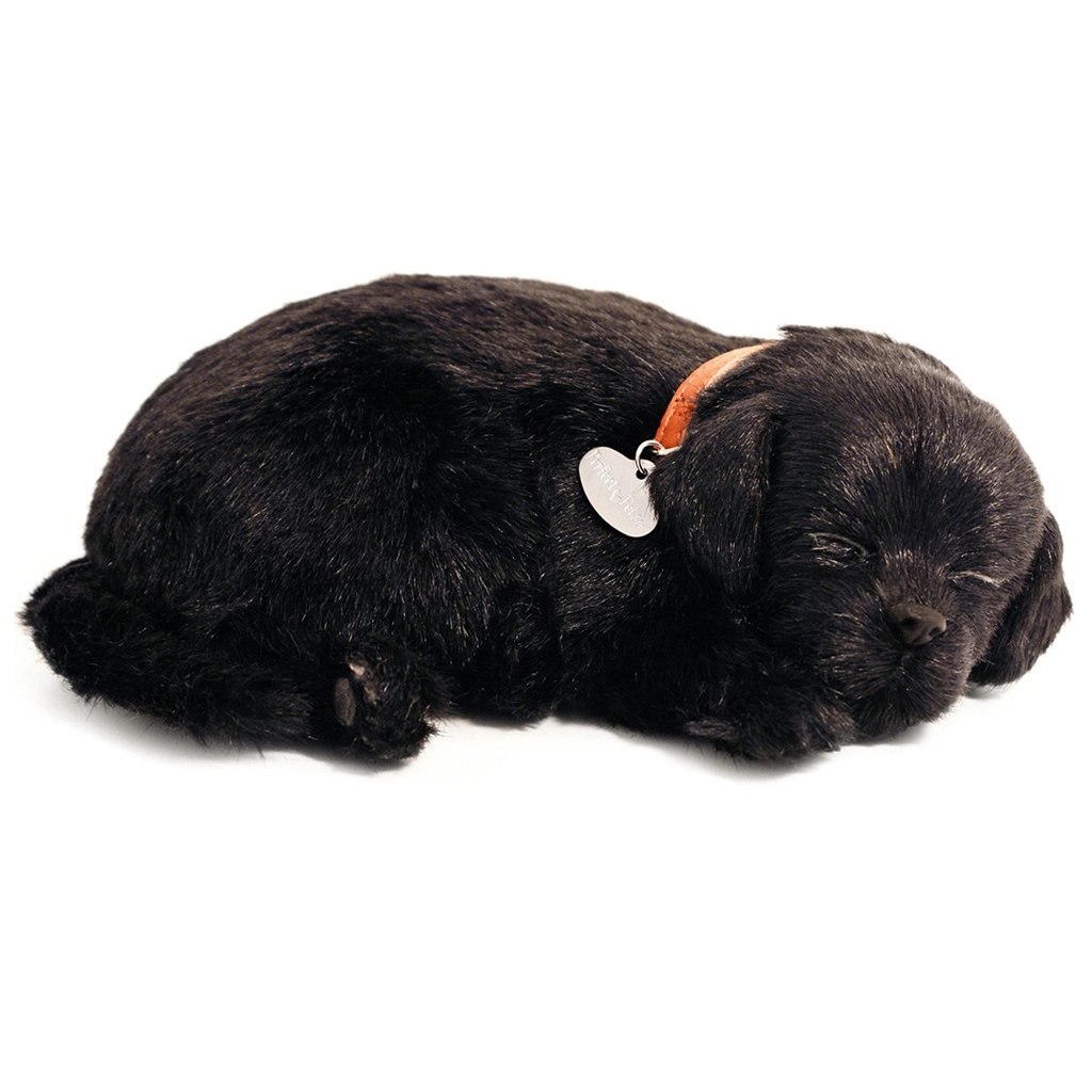 Black Lab Soft Bundle - Senior Style