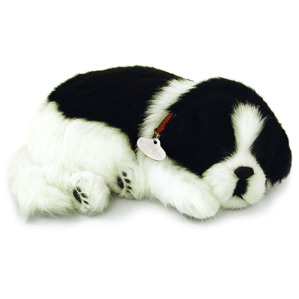 Border Collie Soft Bundle - Senior Style