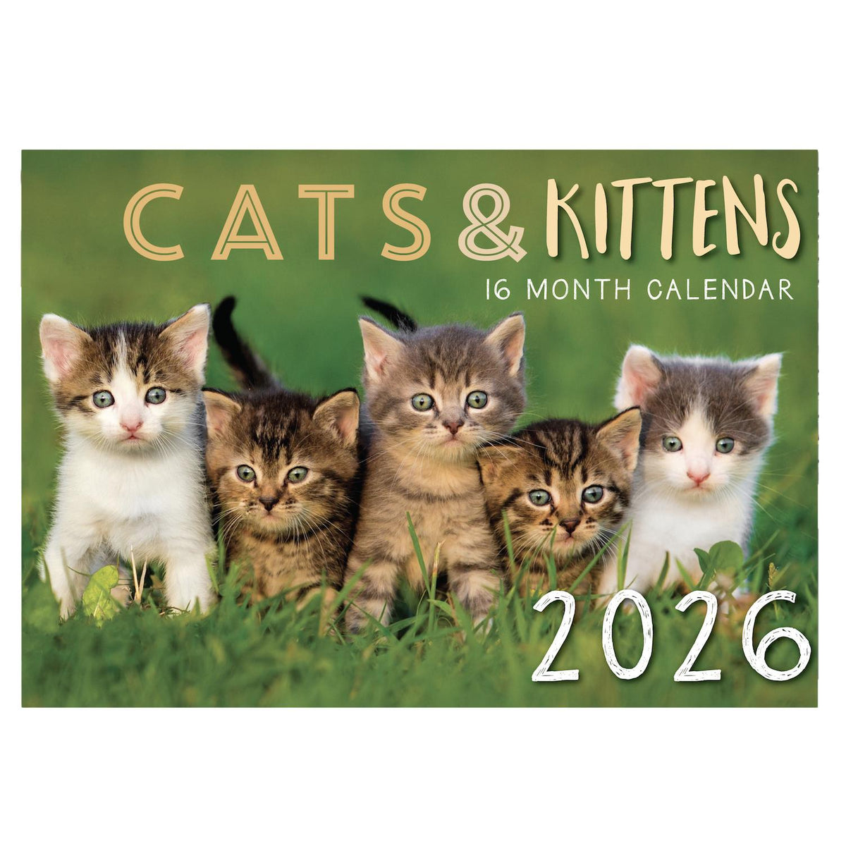 2026 Wall Calendar