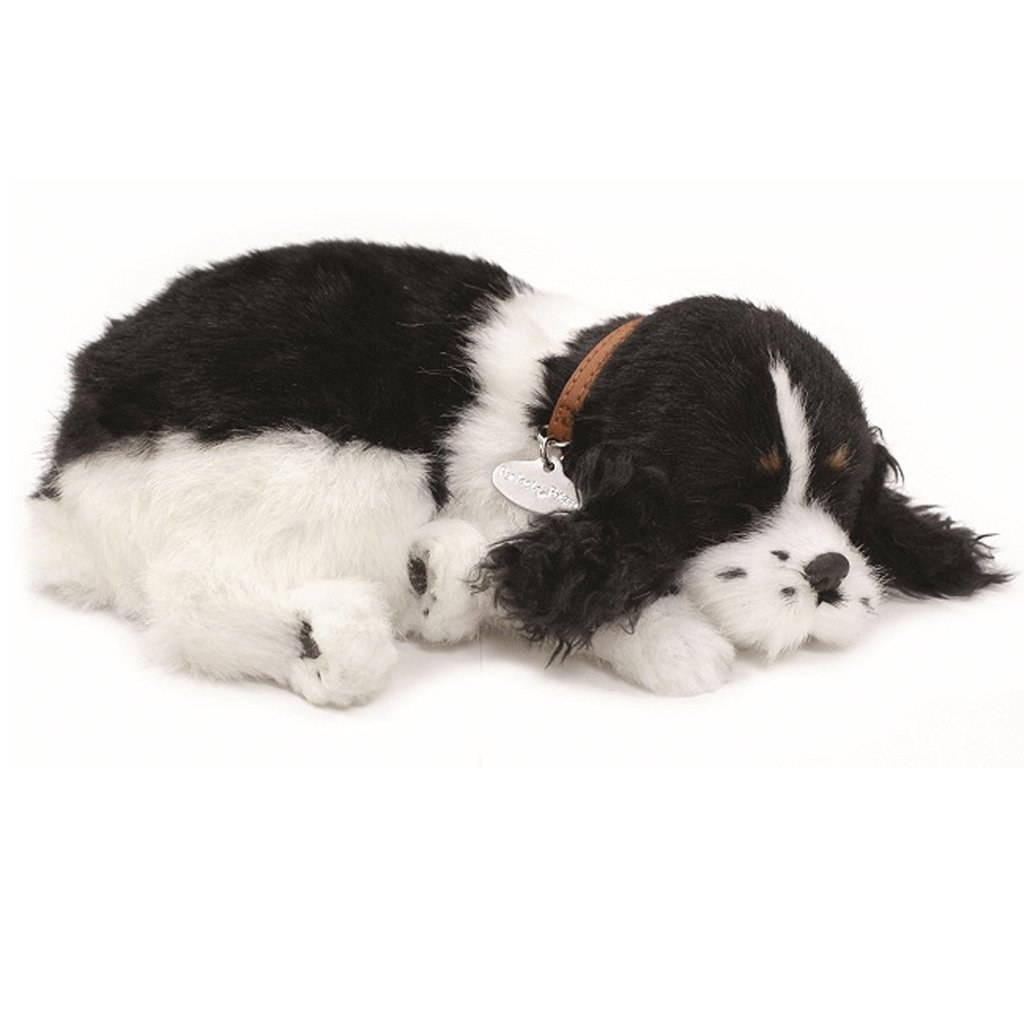 Cocker Spaniel Soft Bundle - Senior Style