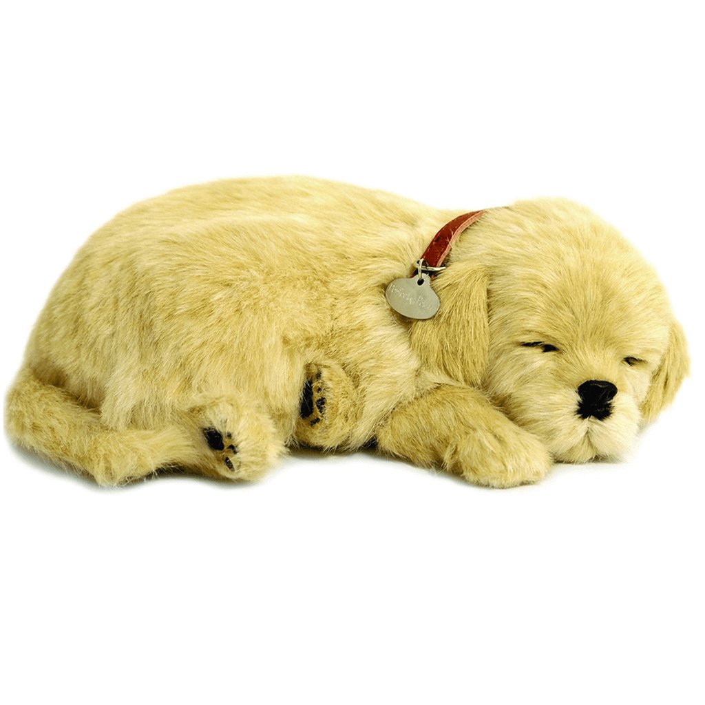 Golden Retriever Soft Bundle - Senior Style