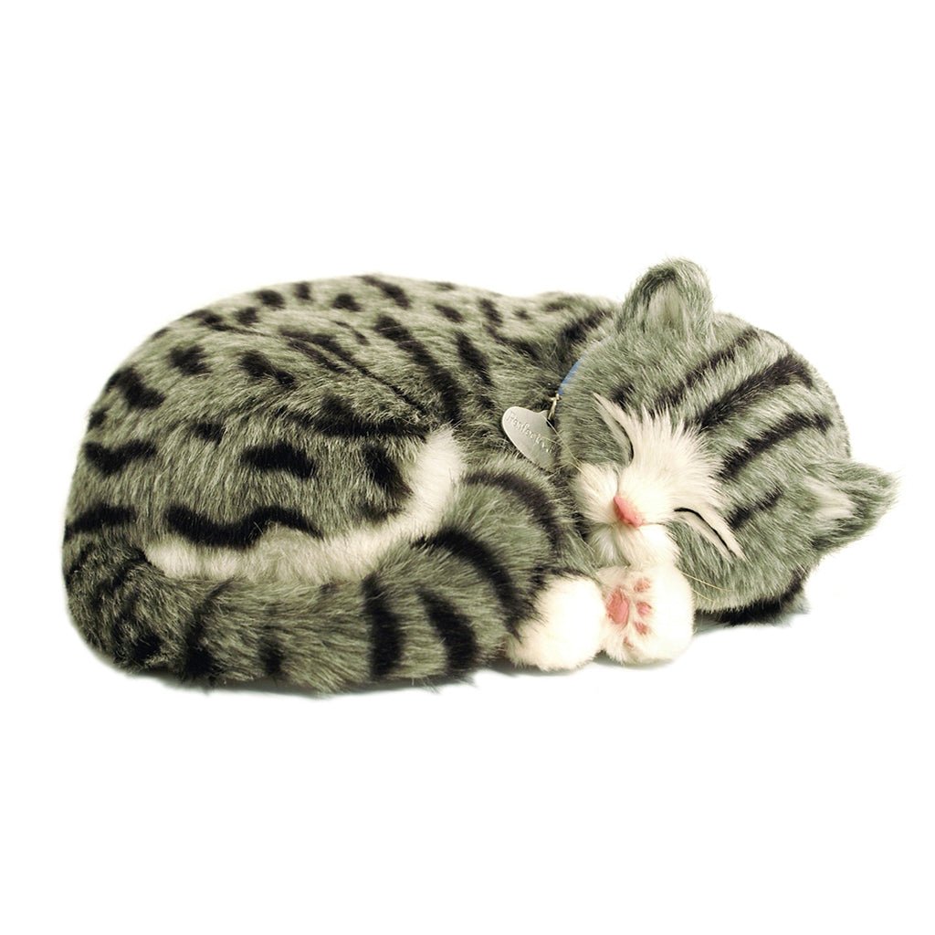Grey Tabby Soft Bundle - Senior Style
