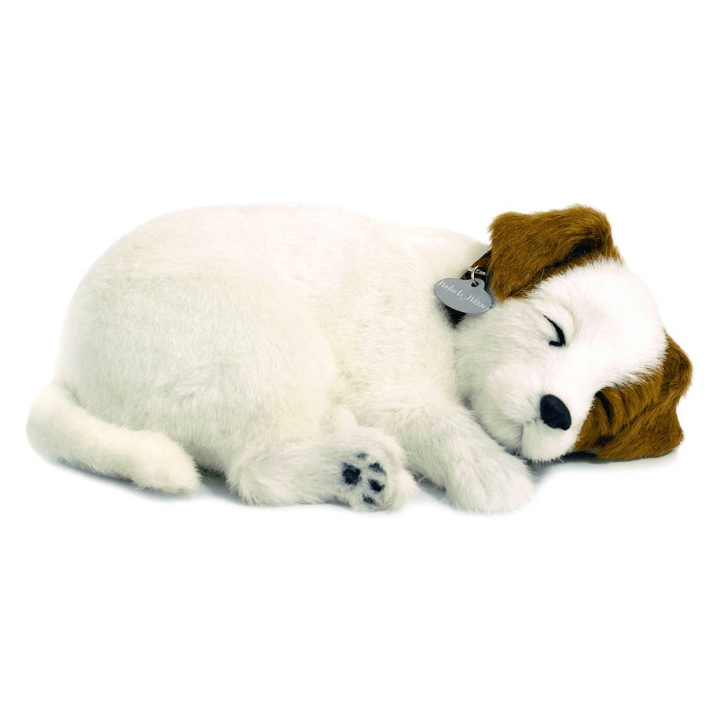 Jack Russell Soft Bundle - Senior Style
