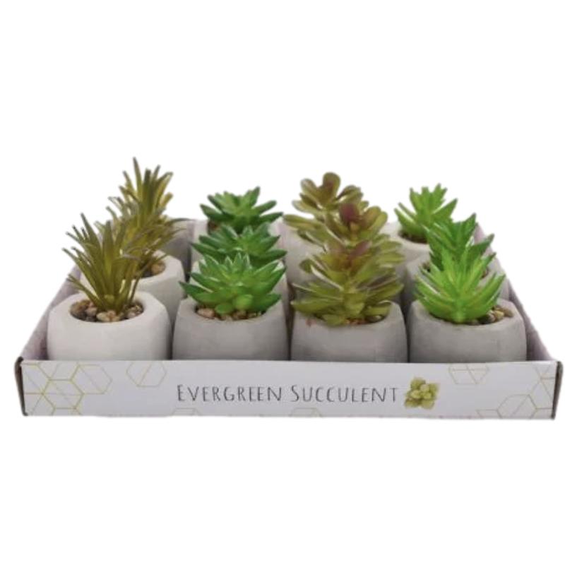 Dresser Decor