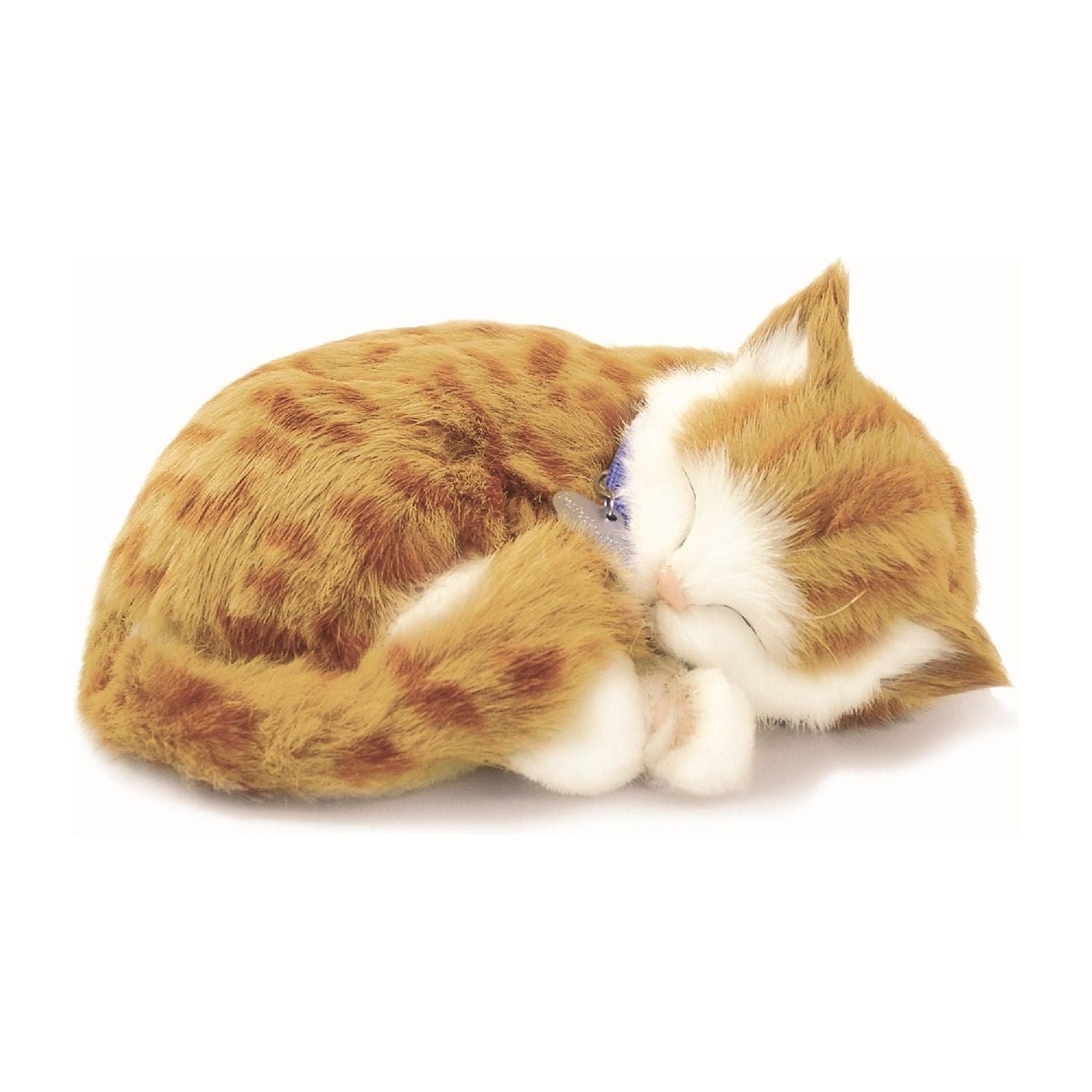 Orange Tabby Soft Bundle - Senior Style
