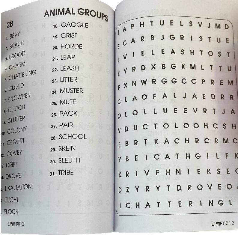 Pocket Word Search Book