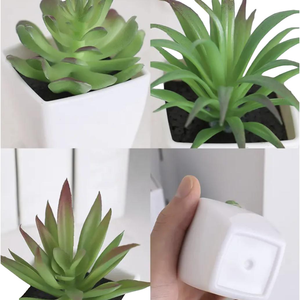 Decorative Mini Plant