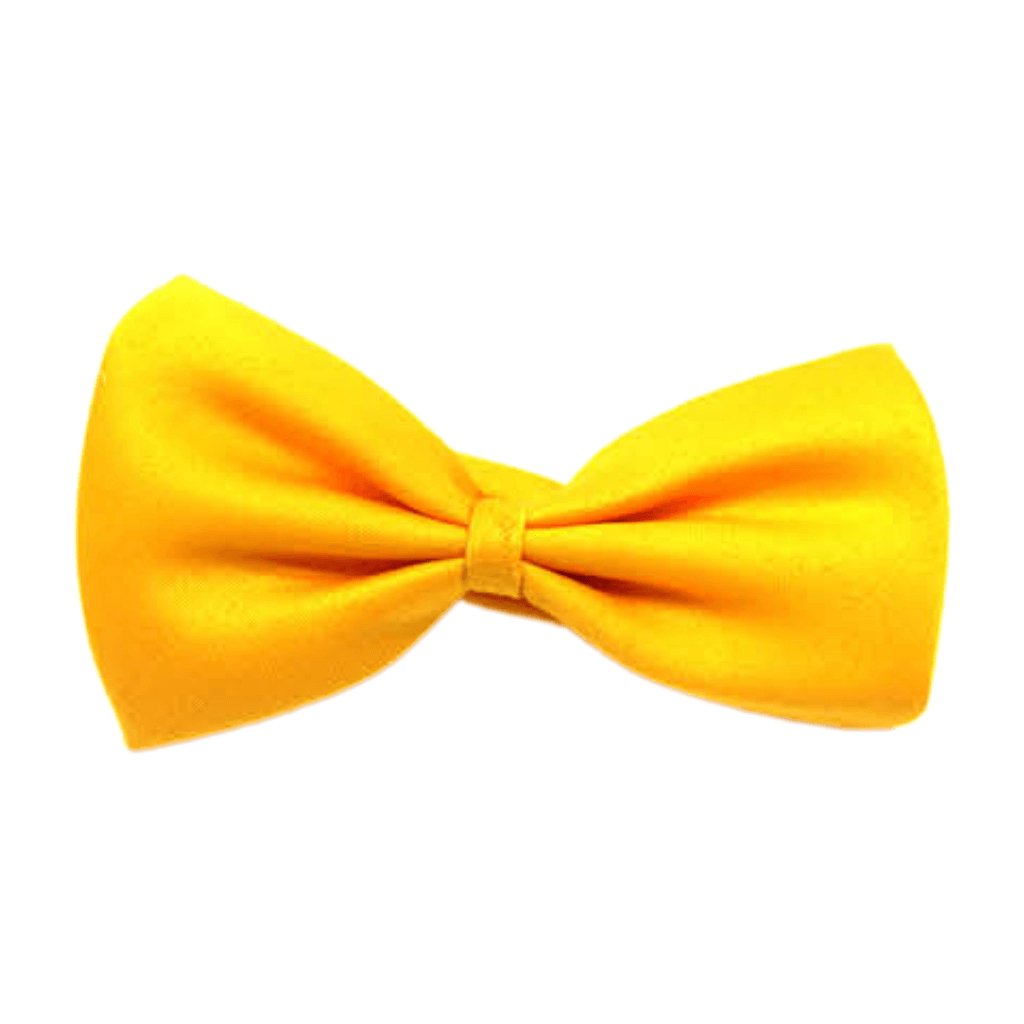 Small Plain Bow Tie - Senior Style