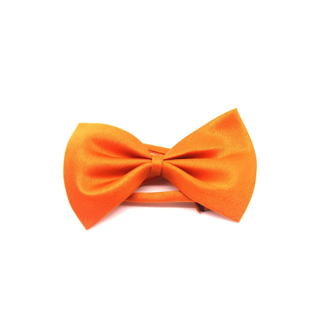 Small Plain Bow Tie - Senior Style