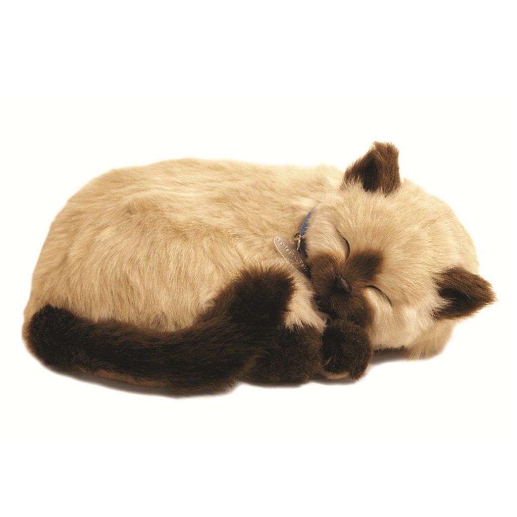 Tan Siamese Cat Bundle - Senior Style