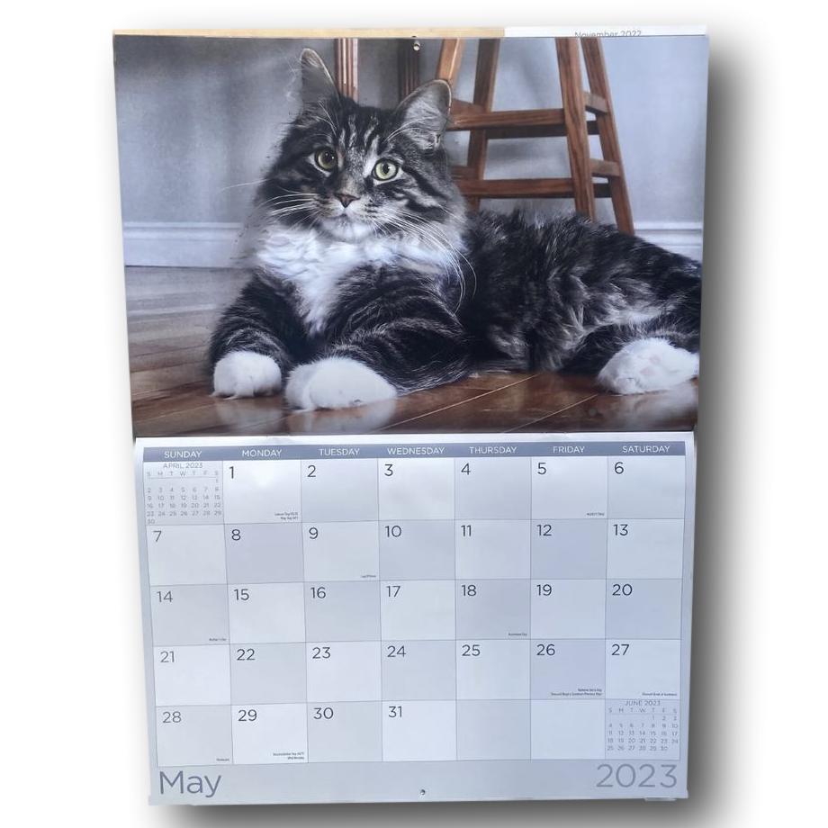 She Loves a Calendar