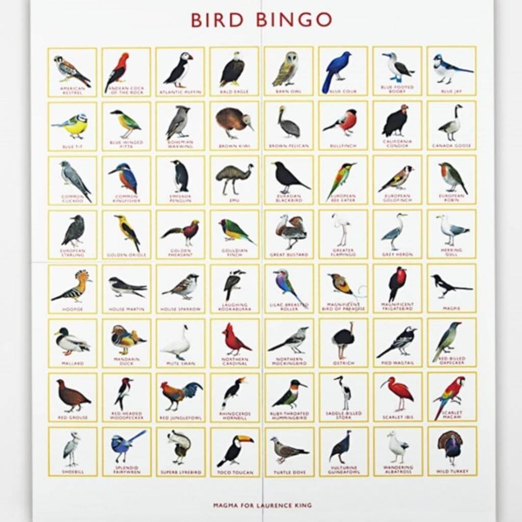 64 pieces of birds