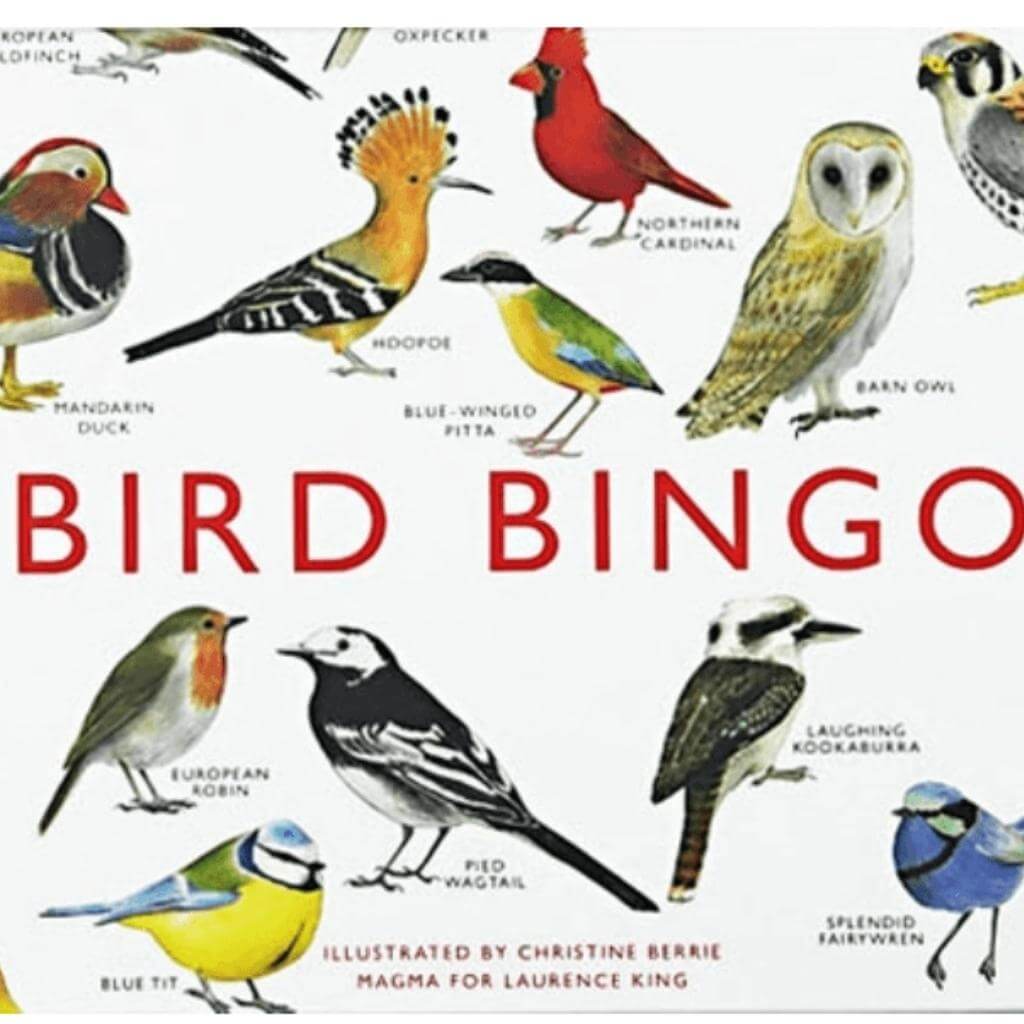 Bird Bingo