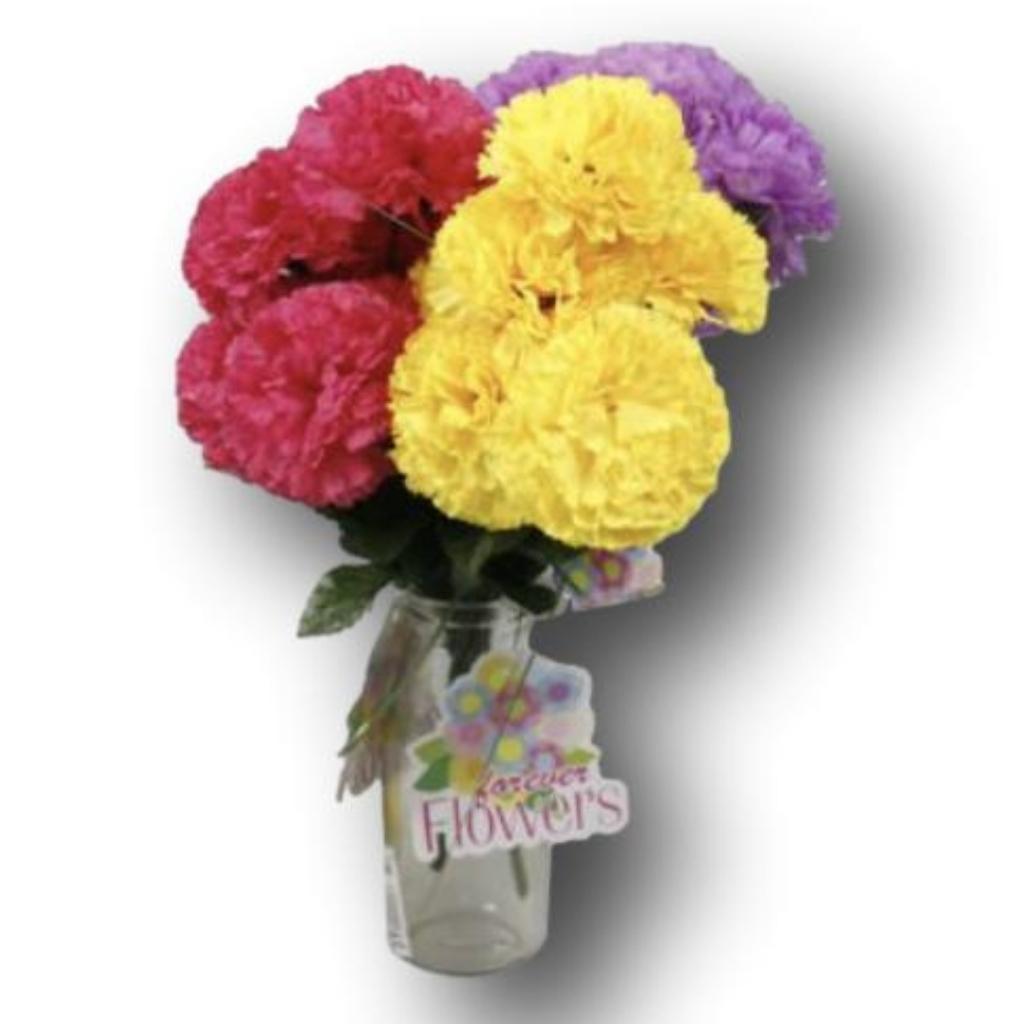 Bunch of Large Headed Carnations