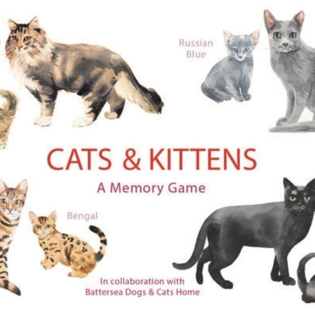Cats And Kittens Memory Game